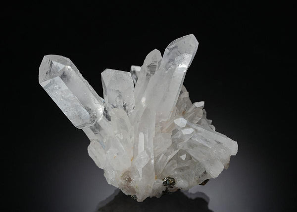 CC7914 specimen image