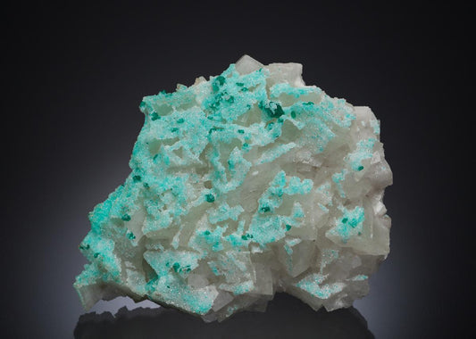 CC8047 specimen image
