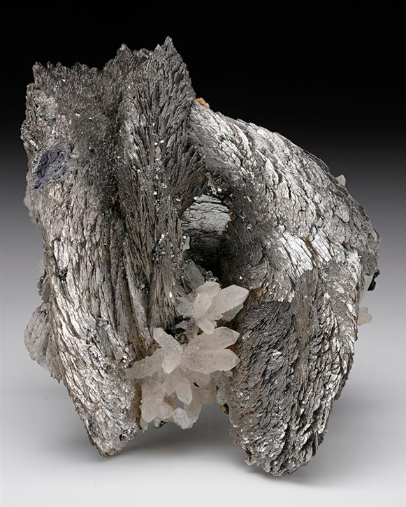 CC8048 specimen image