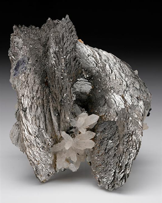 CC8048 specimen image