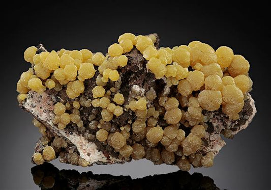 CC8061 specimen image
