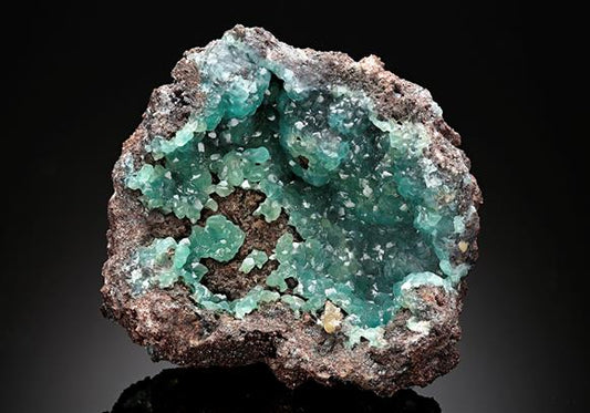 CC8062 specimen image