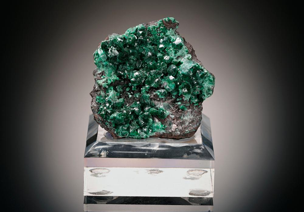 CC8063 specimen image