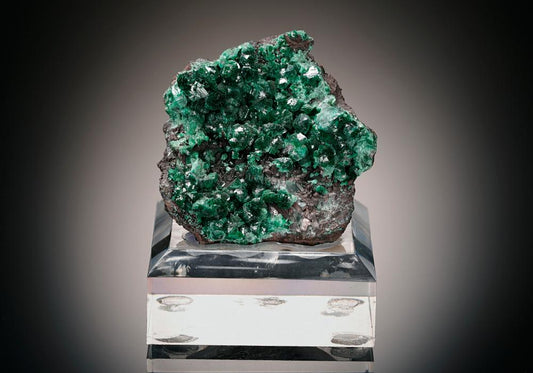CC8063 specimen image