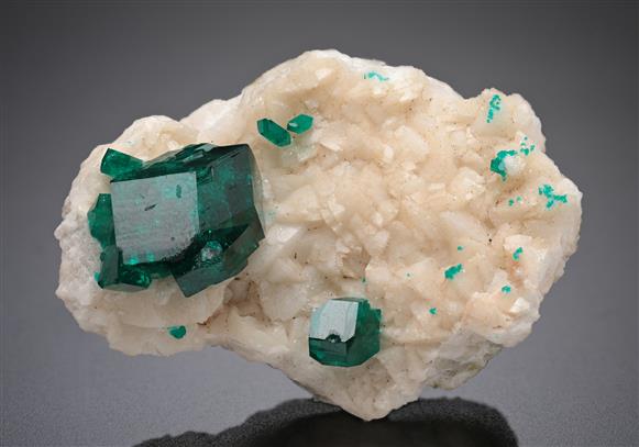 CC8069 specimen image