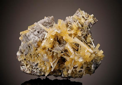 CC8075 specimen image