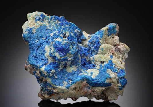 CC8080 specimen image