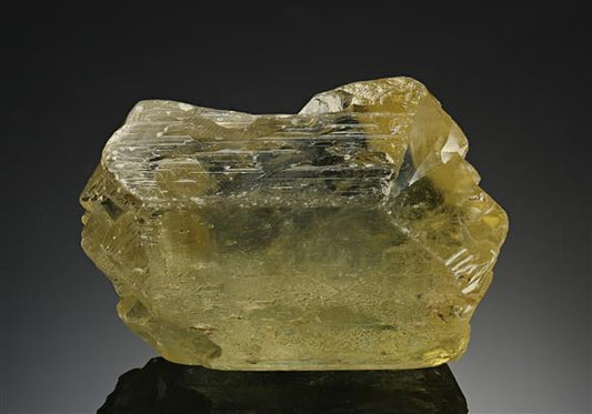 CC8105 specimen image