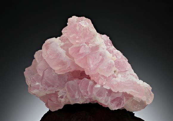 CC8120 specimen image