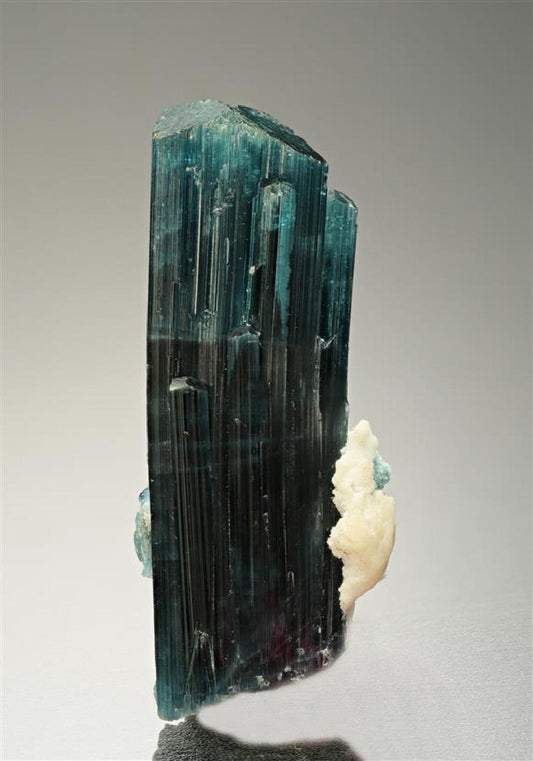CC8126 specimen image