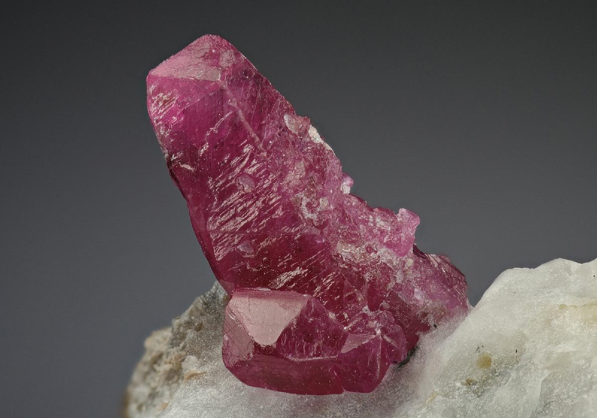 CC8134 specimen image