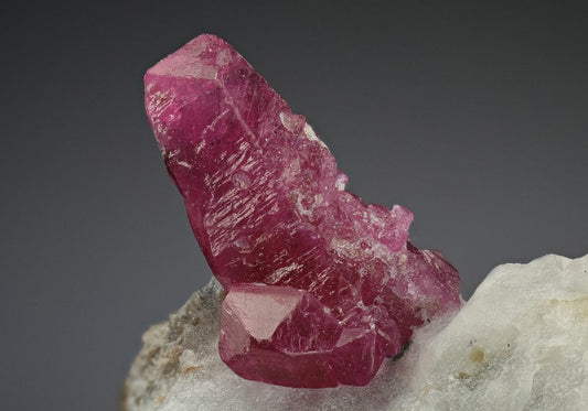 CC8134 specimen image