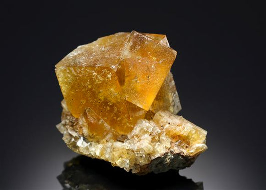 CC8161 specimen image