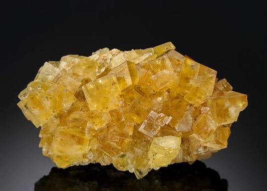 CC8174 specimen image