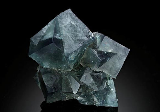 CC8177 specimen image