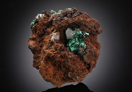 CC8179 specimen image