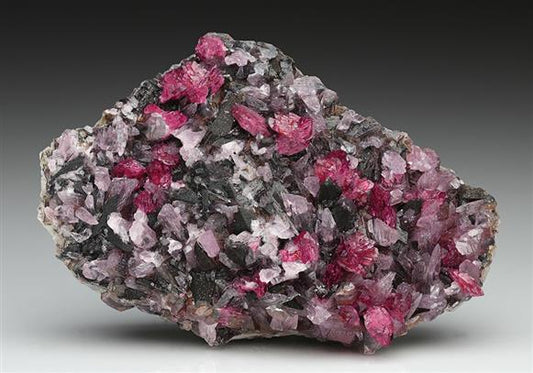 CC8188 specimen image