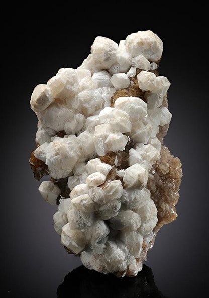 CC8238 specimen image