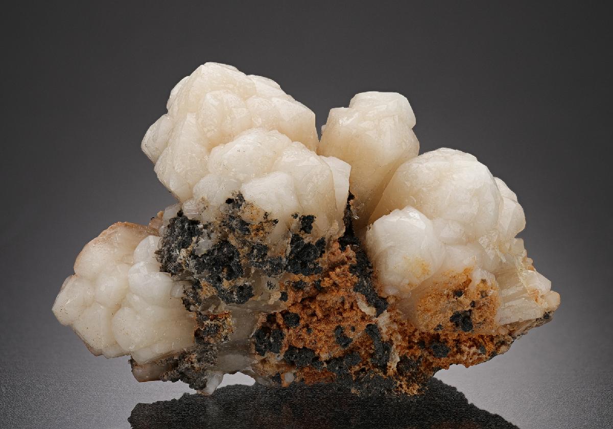 CC8299 specimen image