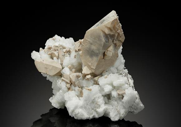 CC8337 specimen image