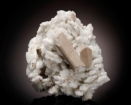 CC8338 specimen image