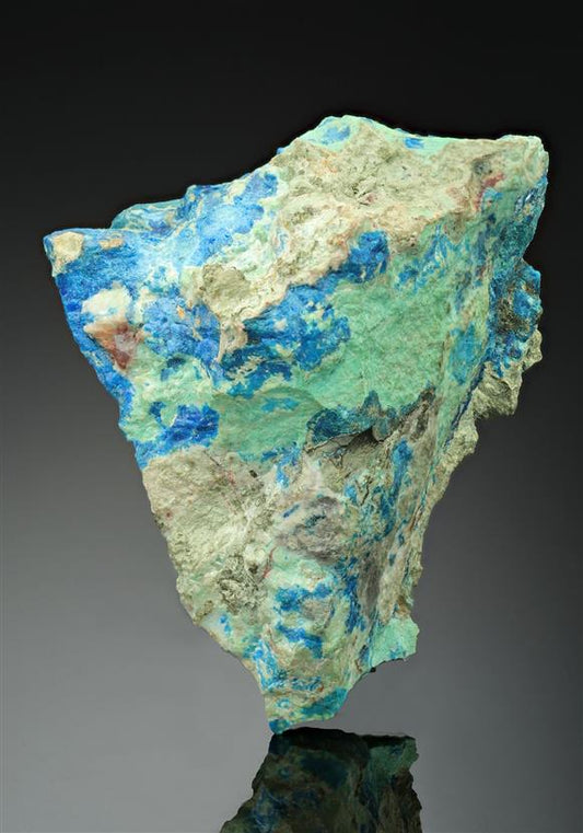 CC8342 specimen image