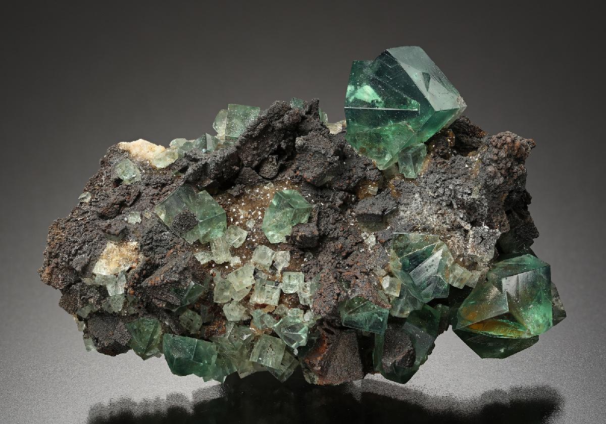 CC8344 specimen image