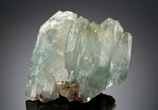 CC8364 specimen image