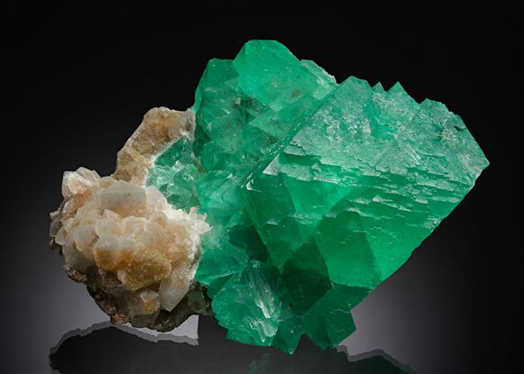 CC8392 specimen image