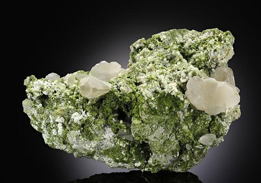 CC8408 specimen image