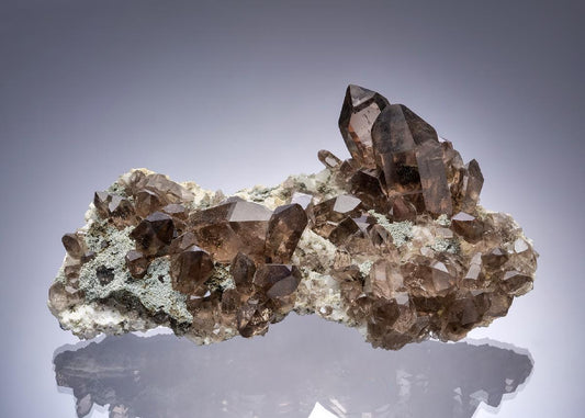 CC8421 specimen image