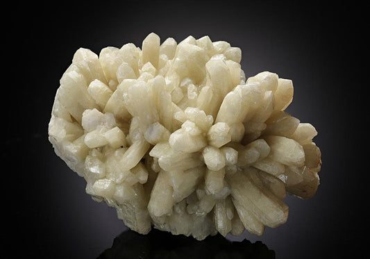 CC8429 specimen image