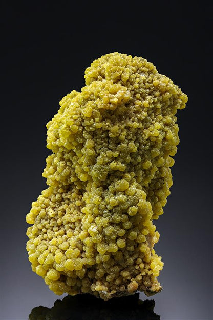 CC8433 specimen image