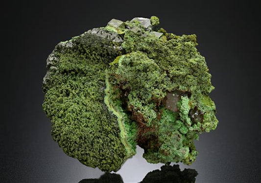 CC8436 specimen image