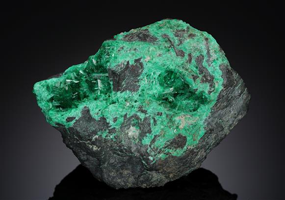 CC8437 specimen image