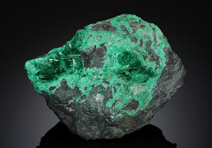 CC8437 specimen image