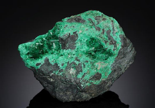 CC8437 specimen image