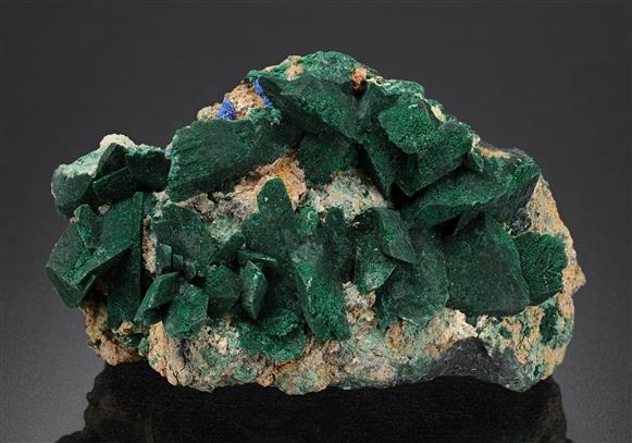 CC8440 specimen image