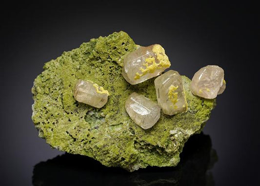 CC8444 specimen image