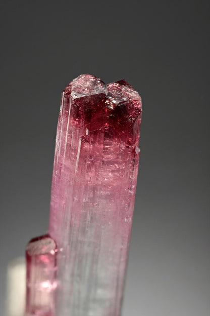 CC8458 specimen image