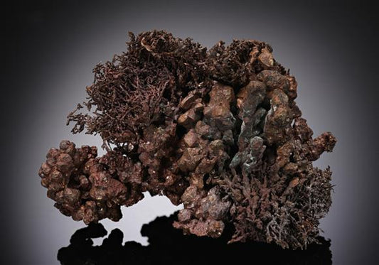 CC8472 specimen image