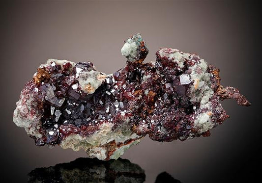 CC8487 specimen image