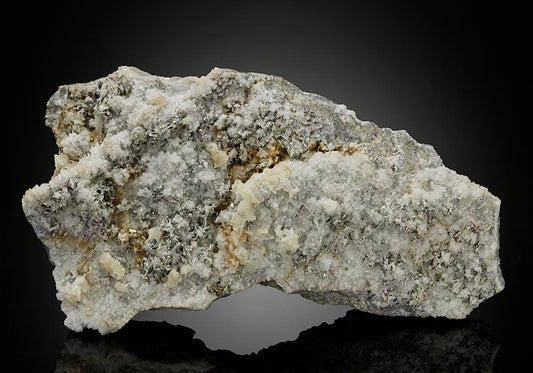 CC8492 specimen image