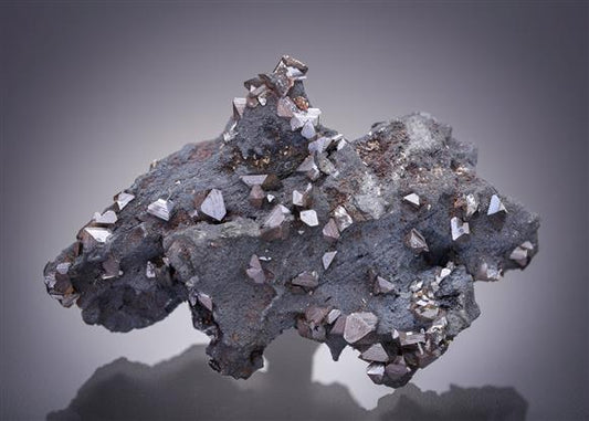 CC8505 specimen image