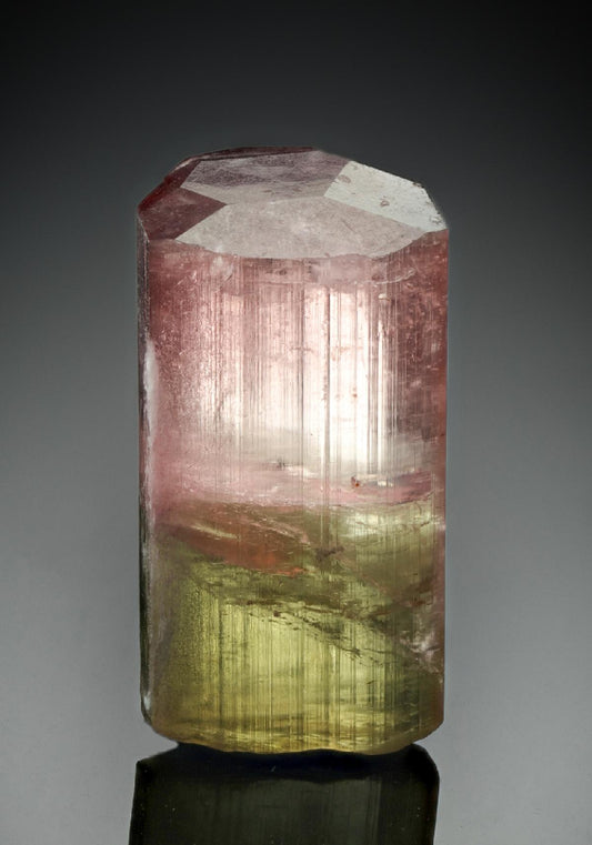 CC8513 specimen image