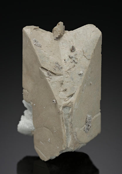 CC8515 specimen image