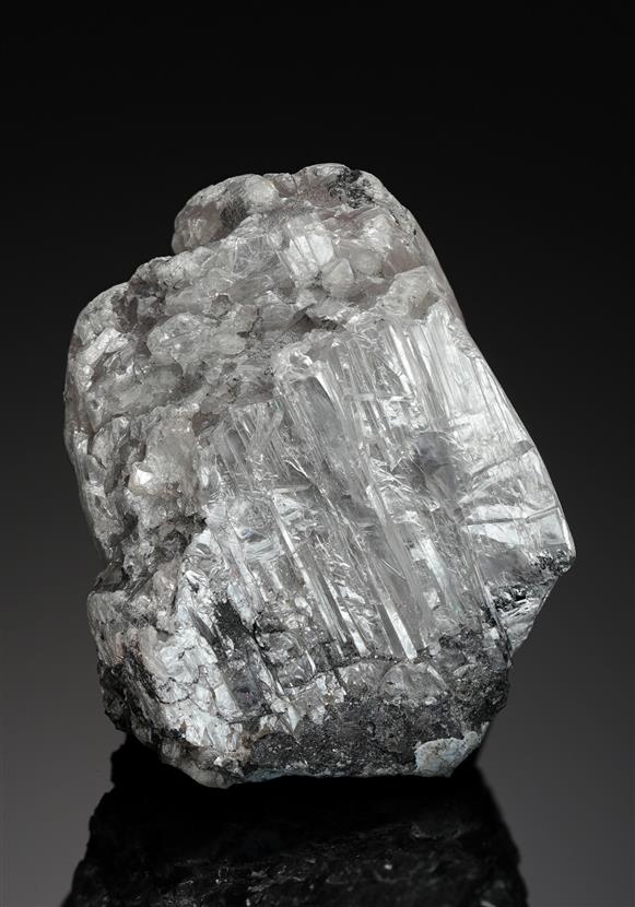 CC8525 specimen image