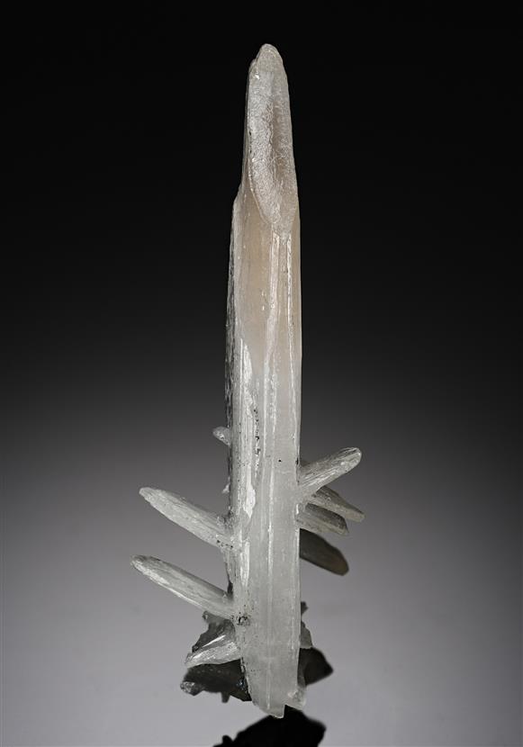 CC8530 specimen image