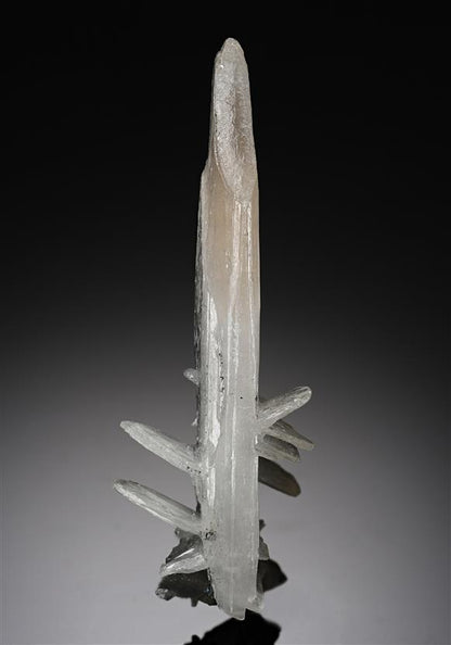 CC8530 specimen image