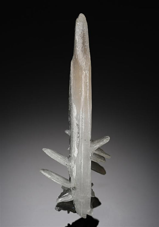CC8530 specimen image
